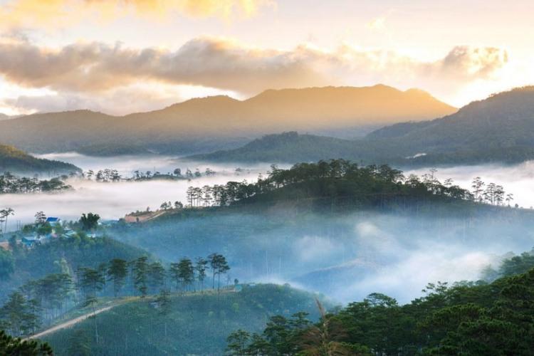 Rừng Bidoup Núi Bà với thông xanh và núi cao Lâm Đồng