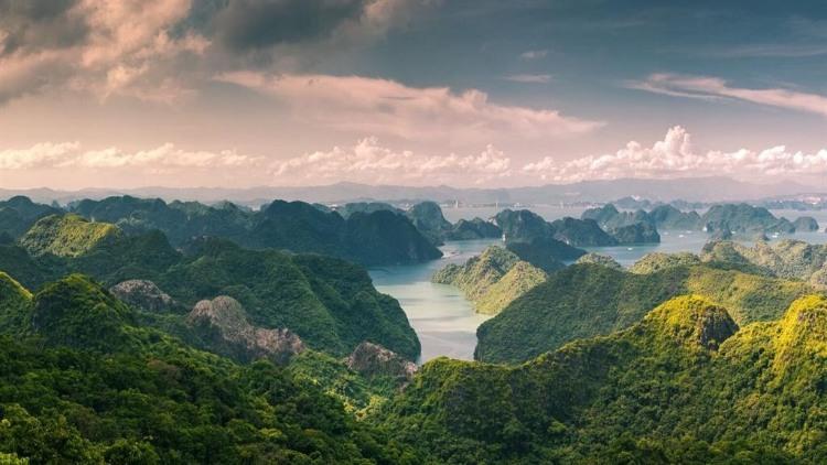 Rừng Cát Bà trên núi đá vôi nhìn ra biển đảo