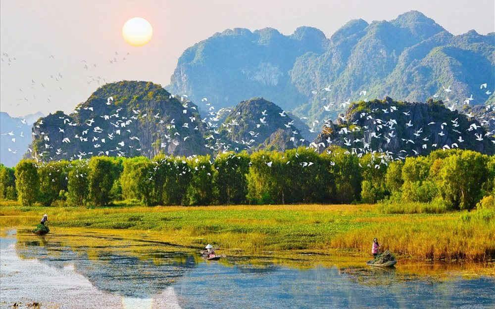 Rừng ngập mặn Cần Giờ với kênh rạch và cây đước