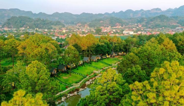 Rừng thông Bản Áng bên hồ nước xanh tại Mộc Châu