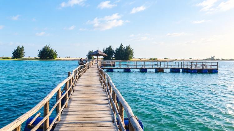 Cầu gỗ giữa biển xanh tạo điểm check-in khi du lịch Bình Châu