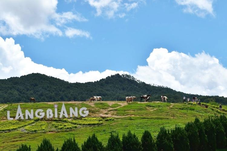 Langbiang phù hợp với nhóm muốn mở rộng hành trình về hướng Lạc Dương