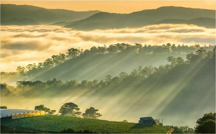 Trại Mát Đà Lạt trên tuyến đi Cầu Đất bằng xe máy